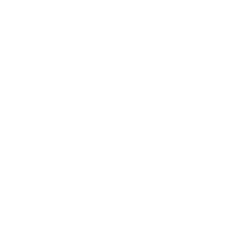 SA Web Solutions - Meetings